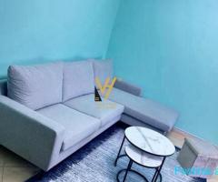 JEPET APARTAMENT 1+1+BLK ME QIRA TE RRUGA E KAVAJES 60.000 L