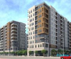 Shitet Post Parkingu