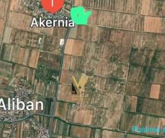 SHITET TOKE 1000M2 NE VLORE 80.000 EURO