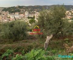 ????????SHITET TOKË – ULLISHTE NË KUZUM BABA, VLORË