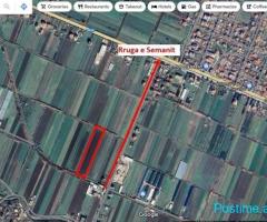 Toke ne radostin fasko