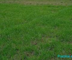 (C)???? SHITET TOKË 3200M2, DOPAJ, ELBASAN!