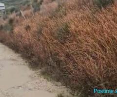 (FRE) ???? SHITET TOKË(E KUQE) 6400M2, RADHIMË!