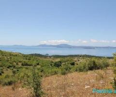 (T)???? SHITET TOKË 50,000M2, KEPI I STILIT!