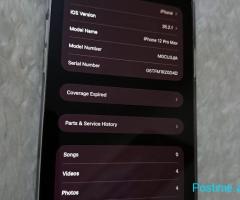 Shitet iPhone 12 Pro Max.