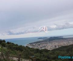 SHITET TOKE/TRUALL NE KANINE!