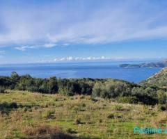 (ERG) ???? SHITET TOKË 5330M2, LUKOVË!