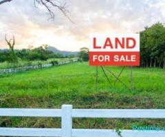 ????SHITET TOKË NË PALASË – SUPER OKAZION INVESTIMI