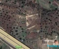 (A) ???? SHITET TOKË 2000M2, MULLET!