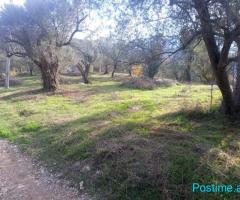 (A) ???? SHITET 11,000M2 TOKË, PETRELË!