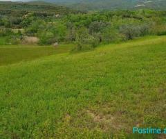 (T)???? SHITET TOKË 1700M2, GURRË E MADHE!