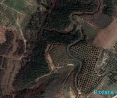 (T)???? SHITET TOKË 4000M2, DAIAS!