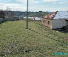 (TA)???? SHITET SHTËPI + TRUALL, MAMINAS!