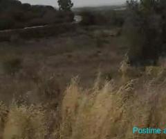 (ERG) ???? SHITET 3500M2 TOKË, PANAJA-VLORË!