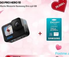 Go Pro Hero 10