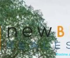 ???? Jepet me Qera: Apt. 2+1+2 wc & 1 Verand ( ????Fresk )