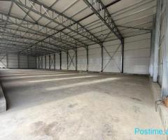 JEPET ME QIRA KAPANON PRANE RRUGES KRYESORE NE SEKTOR-RINIA