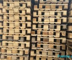 Shitet bedana Europal