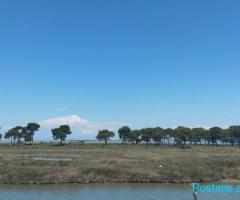 TOKE PER SHITJE BUZE RRUGE TE SEKTOR RINIA