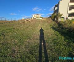 SHITET TOKE NE PLEPA