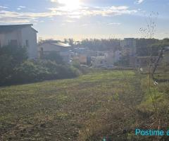 SHITET TOKE NE PLEPA DURRES