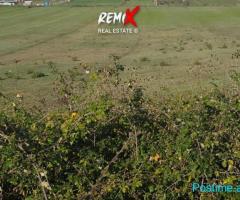 TOKE PER SHITJE BUZE RRUGE PLEPA NDROQ