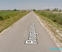 SHITET TOKE BUZE RRUGE NE SEKTORIN “RINIA”, PORTO ROMANO