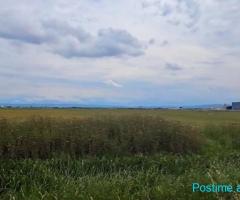 TOKE PER SHITJE BUZE RRUGE TE SEKTOR RINIA