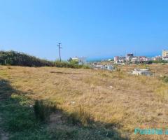 TOKE PER SHITJE NE ARAPAJ