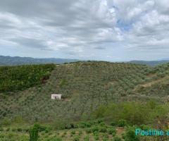 Okazion Shitet Shtepi dhe Toke