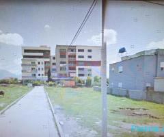 Shitet garazhd tek Ardeno, Tirane