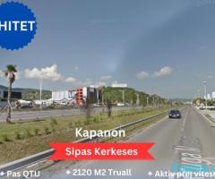 #shitet #kapanon Sapo kalon QTU