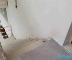 Jepet ambient Dyqan me qera