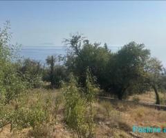 Dhërmi, Shitet Tokë Zon e Kuqe Ndertimi, Rruga Perivolo