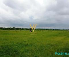 SHITET TOKE ARE 11.000 M2 NE FUSHE PREZE 330.000 EURO