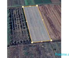 0677157705 Shesim tokë në Vile-Ballaj!