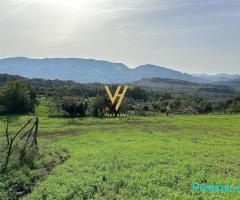 SHITET TRUALL PER NDERTIM 37.000 M2 NE LINZE 5.550.000 EURO