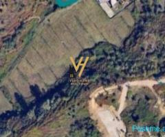 SHITET TOKE 5.100 M2 NE FARKE TE VOGEL 612.000 EURO