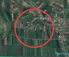 TOKE PER SHITJE NE FSHATIN AGONAS, KAVAJË