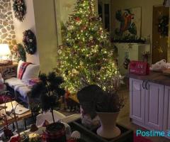 Apartament Komuna e Parisit 136 m2