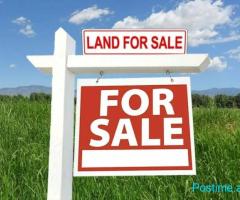 ????MUNDËSI ZHVILLIMI TRUALL NË SHITJE OSE PËR NDËRTIM!