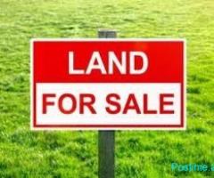 TOKË NË SHITJE – MEZEZ ????