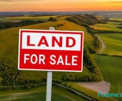 ????✨ SHITET TOKË – YZBERISHT ✨????