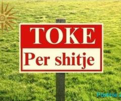 Shitet tokë në Yzberisht