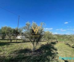 SHITET TOKE 12.700 M2 PRANE RESORT DAJTI OAZ 760.000 EURO