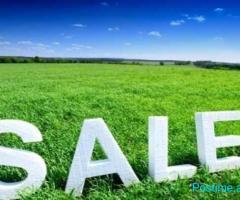 Shitet Tokë 910 m2 – Farkë e Madhe