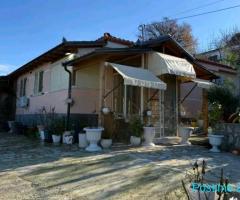 SHITET SHTEPI PRIVATE NE VLORE, SHERISHTE