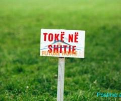 Shitet toke