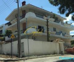 SHITET VILE PRIVATE 550 M2 KODRA E DIELLIT 90.000.000 LEKE