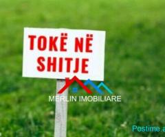 SHITET TOKE BUZE DETIT 3,000M2 NE HIMARE, VLORE.